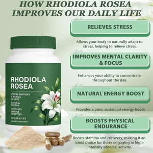 Floraviva Rhodiola Rosea Capsules | 500Mg Rhodiola Rosea Extract Supplement for Stress Support, Mental Focus & Energy, Immune Function, Non-Gmo, 60 Capsules