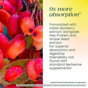 Megafood Berberine Phytosome - Berberine Supplement 550 Mg per Serving, 1100 Mg Daily - 9X Absorption - Supports a Healthy Metabolism & Cholesterol Levels - Vegan - 60 Capsules, 30 Day Supply
