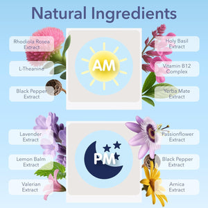 Laki Naturals Jet Lag AM & PM Travel Patches (1 Count, Pack of 8) – Natural Day & Night Support for Travelers – Energy, Focus & Restful Sleep – with B12, Valerian, Lavender & More
