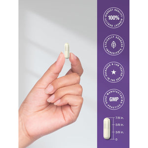 Horbaach Probiotics for Women and Men | 60 Capsules | 14 Probiotic Strains with Prebiotic | 50 Billion Active Organisms | Non-Gmo & Gluten Free Supplement