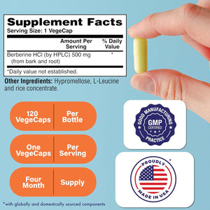 Health Thru Nutrition Berberine Hcl 500Mg 120 Servings | Clinical Strength Supplement | Certified Vegan | Non-Gmo | Soy Free | 3Rd Party Tested