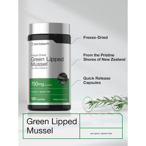 Horbäach Green Lipped Mussel |120 Capsules | from New Zealand | Premium Freeze Dried Mussel Powder | Non-Gmo and Gluten Free