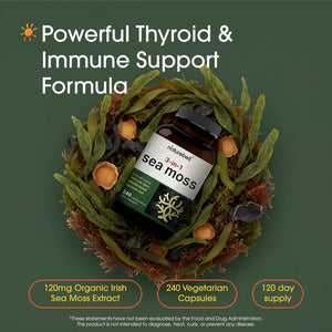 Naturebell 3-In-1 Sea Moss - 240 Vegetarian Capsules - Sea Moss Complex with Organic Bladderwrack & Organic Burdock Root - Healthy Digestion, Vitality & Immune Support*