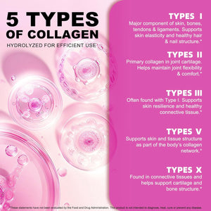 Multi Collagen Peptides Powder,Type I, II, III, V, X,With Biotin,Vitamin C,Hyaluronic Acid,Supports Healthy Joint, Hair, Skin & Nail Support,Grass-Fed, Non-Gmo,16Oz