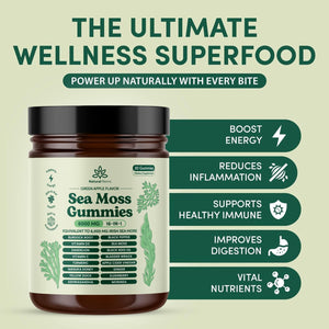 Natural Rems Sea Moss Gummies 16-In-1 - Ashwagandha Black Seed Oil Bladder Wrack Turmeric Vitamin C & D3 with Manuka Burdock Root Dandelion Yellow Dock Elderberry Apple Cider Vinegar (Green Apple)