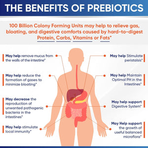 Wholesome Wellness Organic Raw Probiotics 100 Billion CFU, Dr Formulated for Women and Men, Complete Adult Supplement with Prebiotics and Digestive Enzymes; 30 Capsules, Shelf Stable
