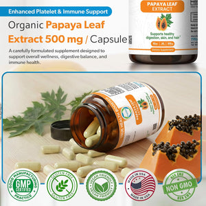 Papaya Leaf Extract 500 Mg for Hair, Skin with 4X Extra Strength Support Blood Platelet with 60 Capsules for 60 Days Supports Digestive Health & Natural Antioxidant
