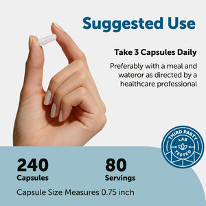 Micro Ingredients DHEA 100 Mg per Serving, 240 Capsules | Micronized DHEA Supplement for Women & Men | Non-Gmo, Gluten Free, Soy Free