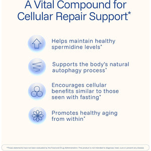 Prohealth Pure Spermidine 1 Mg | 180 Capsules | Plant-Based Wheat Germ Extract for Cellular Renewal & Autophagy Support | Non-Gmo, Triple Lab-Tested, Gmp-Certified