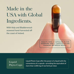 Gaia Herbs Thyroid Support - Made with Ashwagandha, Kelp, Brown Seaweed & Schisandra to Support Healthy Metabolic Balance & Overall Well-Being* - 60 Vegan Liquid Phyto-Caps (30 Servings)