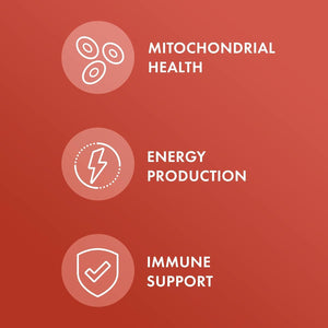 Dr. Mercola Liposomal Glutathione - 350 Mg per Serving - Supports Energy Production - High Absorption - Non-Gmo, Gluten-Free & Soy-Free - 60 Capsules (30 Servings)