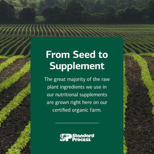 Standard Process Betafood - Supports Digestion & Intestinal Function with Beets - Aids a Healthy Heart & Liver Health - Gluten-Free, Non-Dairy & Non-Soy - 90 Tablets (90 Servings)