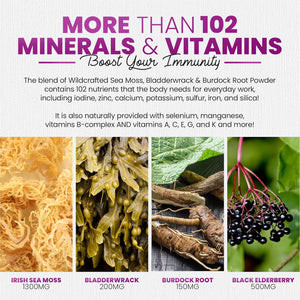 Sakoon Nutrition Irish Sea Moss Gummies with Elderberry & Black Seed Oil - Raspberry Flavor - 60 Gummies