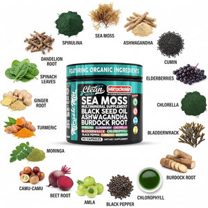 Clean Nutra Organic Sea Moss Capsules with Ashwagandha, Black Seed Oil, Burdock Root, Bladderwrack, Moringa, Chlorella, Spirulina, Turmeric, Elderberry, Amla � 90 Vegan Capsules � Miraclemin