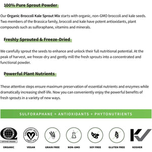 Sprout Living Broccoli and Kale Organic Sprout Mix, Freeze Dried Superfood Greens Powder, 100% Pure, Vegan, Non-Gmo, Gluten Free (4 Ounces, 32 Servings)