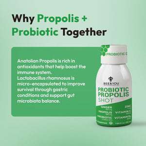 Bee and You Propolis Immune Shot, Probiotic, Vitamin C, Vitamin D3, Zinc, Ginger, Immune Support, Gut Health, Digestive Health, Bioactive 1.69 Fl. Oz, 12 Pack