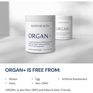 Bodyhealth Organ+ Grass-Fed Glandular Organ Complex, Grassfed Beef Organ Supplement, Dessicated Beef Liver, Heart, Kidney, Pancreas, Spleen, Non GMO, Adrenal, Supplement, (150 Capsules)