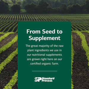 Standard Process Ribonucleic Acid RNA - Cell Development Support - Aids Protein Synthesis - Vegan, Gluten-Free, Non-Soy, & Non-Grain - 90 Tablets (90 Servings)