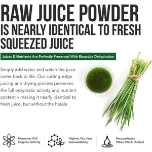 Organic Barley Grass Juice Powder - Grown in Volcanic Soil of Utah - Raw & Bioactive Form, Cold-Pressed Then CO2 Dried – Gluten Free, GMO Free, Vegan - Complements Wheatgrass Juice Powder - 5.3 Oz
