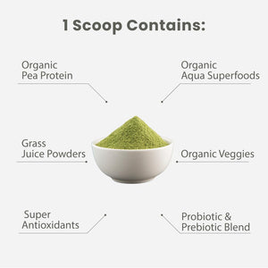 Paradise Herbs ORAC Energy Protein & Greens Powder, Antioxidant Power of 24 Servings of Fruits & Vegetables in 1 Scoop + 20G Protein, Unflavored, 15 Servings