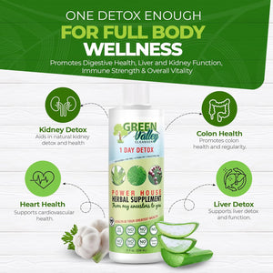 Green Valley Cleanser – Natural Herbal Colon Cleanse Detox Supplement | Supports Digestion, Bloating Relief & Regularity | 8 Oz Liquid