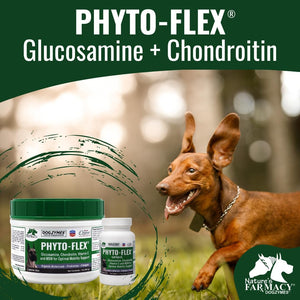 Dogzymes Phyto Flex - Glucosamine, Chondroitin, MSM and Hyaluronic Acid… (1 Pound)