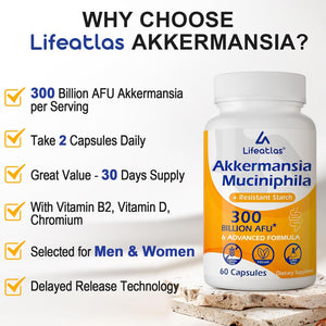 Lifeatlas Akkermansia Supplement Probiotic | Akkermansia with 300 Billion AFU Akkermansia Probiotic, 6-In-1 Akkermansia Probiotics for Women and Men, Daily Akkermansia Supplement, 60 Caps