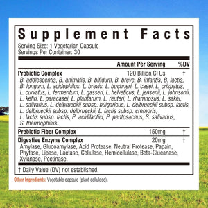 Innate Vitality Probiotics 120 Billion Cfus for Men & Women, 34 Strains with Prebiotics & Digestive Enzymes, Immune & Digestive Health, Delayed Release, Shelf Stable, 30 Vegan Capsules