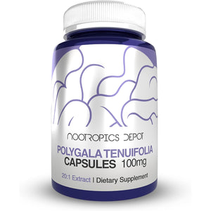 Nootropics Depot Polygala Tenuifolia Capsules | 100Mg | 90 Count | 20:1 Extract | Yuan Zhi | Promotes Cognitive Function, Learning and Memory | Supports Healthy Stress Levels | Adaptogen Supplement