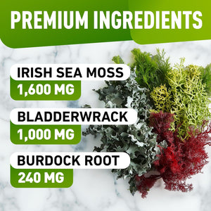 Biovit Sea Moss Gummies - Wildcrafted Irish Sea Moss for Adults & Kids - Seamoss Gel with Bladderwrack & Burdock Root Extract - 60 Vegan Gummies