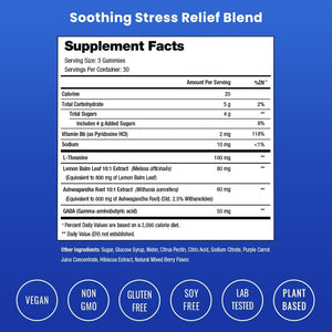 Nutrachamps Calm Gummies, Stress Gummies Supplement with Ashwagandha, L-Theanine, GABA, Vitamin B6 & Lemon Balm, Supports Mood, Focus & Stress Relief, Natural Berry, 90 Gummies