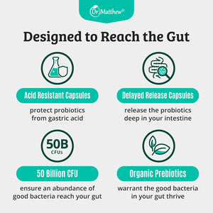 Prebiotics and Probiotics: Lactobacillus Gasseri, Lactobacillus Rhamnosus, Plantarum, Casei, Bifidobacterium Longum, Lactis, Infantis. Probiotic Prebiotic, Pre and Probiotics for Digestive Health.