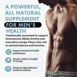 Primal Being Grassfed Beef Testes Capsules – Nutrient-Dense Beef Organ Supplement for Men, New Zealand Sourced, 120 Capsules