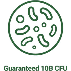 Bnrthin S30, Lactobacillus Gasseri BNR17, 10 Billion CFU Guaranteed, 30Capsules