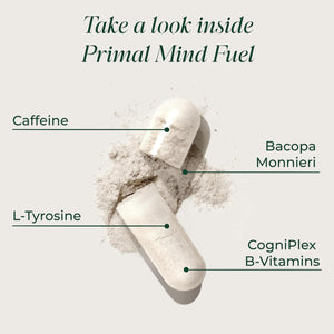 Brain Supplement by Primal Harvest, Primal Mind Fuel Brain Booster for Focus, Energy, Clarity, and Brain Health 30 Capsules Nootropics Brain Support Supplement for Men and Women