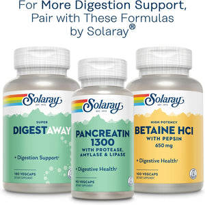 SOLARAY Mastic Gum Extract 500 Mg 45 Count