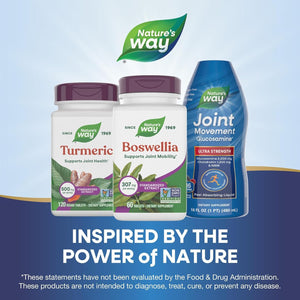 Nature'S Way Boswellia Standardized Extract, Supports Joint Mobility*, 307 Mg Boswellia Serrata Extract per Serving, Frankincense Supplement, Gluten Free & Vegan - 60 Tablets (Packaging May Vary)