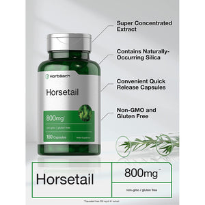 Horbäach Horsetail Supplement | 180 Capsules | Traditional Herbal Extract | Non-Gmo & Gluten Free