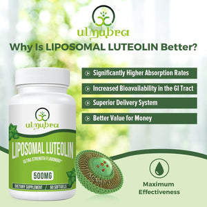 Ulmubra Liposomal Luteolin 500MG, Maximum Absorption, Potent Flavonoid, 60 Softgels, Luteolin Supplement, Non-Gmo, Gluten Free