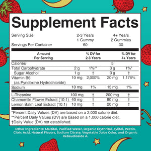MARYRUTH'S Kids Nighttime Gummies | Sugar Free | NO Melatonin with L Theanine, Lemon Balm, Chamomile, Vitamin B6 | Relaxation Support for Kids 2+ | Vegan | Non-Gmo | Gluten Free | 60 Count