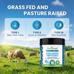 Forestleaf Collagen Peptides Powder Unflavored - Hydrolyzed Grass Fed Keto Collagen Protein Powder Type 1, 2 & 3 - Vital Hair, Skin, Nails, Joints, Recovery, 11G per Serving