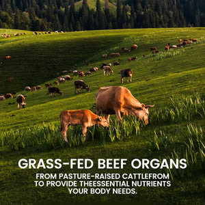 Beef Organ Complex Supplement, 120 Capsules Grass Fed Beef Liver Capsules, Immune Support, Gluten Free, Non-Gmo (1)
