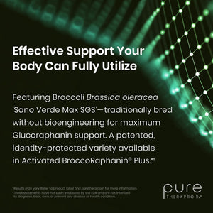 Pure Therapro Rx Extra Strength Sulforaphane Supplement from Broccoli Seed Extract | Made in USA | ONE Capsule per Serving (Other Brands Are 2 Caps!) | 3Rd Party Tested | Oncoprotect ES