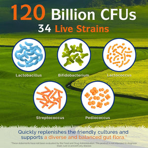 Innate Vitality Probiotics 120 Billion Cfus for Men & Women, 34 Strains with Prebiotics & Digestive Enzymes, Immune & Digestive Health, Delayed Release, Shelf Stable, 30 Vegan Capsules