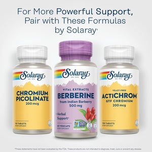 SOLARAY Berberine 500Mg - Berberine Supplement for a Healthy, Active Lifestyle - with Berberine Hcl from Indian Barberry - Vegan, Non-Gmo, 60-Day Guarantee - 60 Servings, 60 Vegcaps (60 CT)