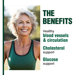 LABO Nutrition Vesseclear CX: Nattokinase NSK-SD + Gamma Oryzanol for Clean Blood Vessel & Healthy Ageing, Japan'S Most Clinically Studied, Support Healthy Cholesterol, Heart, Vegan, Acid-Resistant