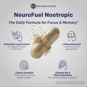 NATURAL STACKS Original Neurofuel Nootropic Brain Support Supplement - 750Mg L-Carnitine & 500Mg L-Phenylalanine - Brain Supplement for Memory and Focus* - 75 Focus Pills