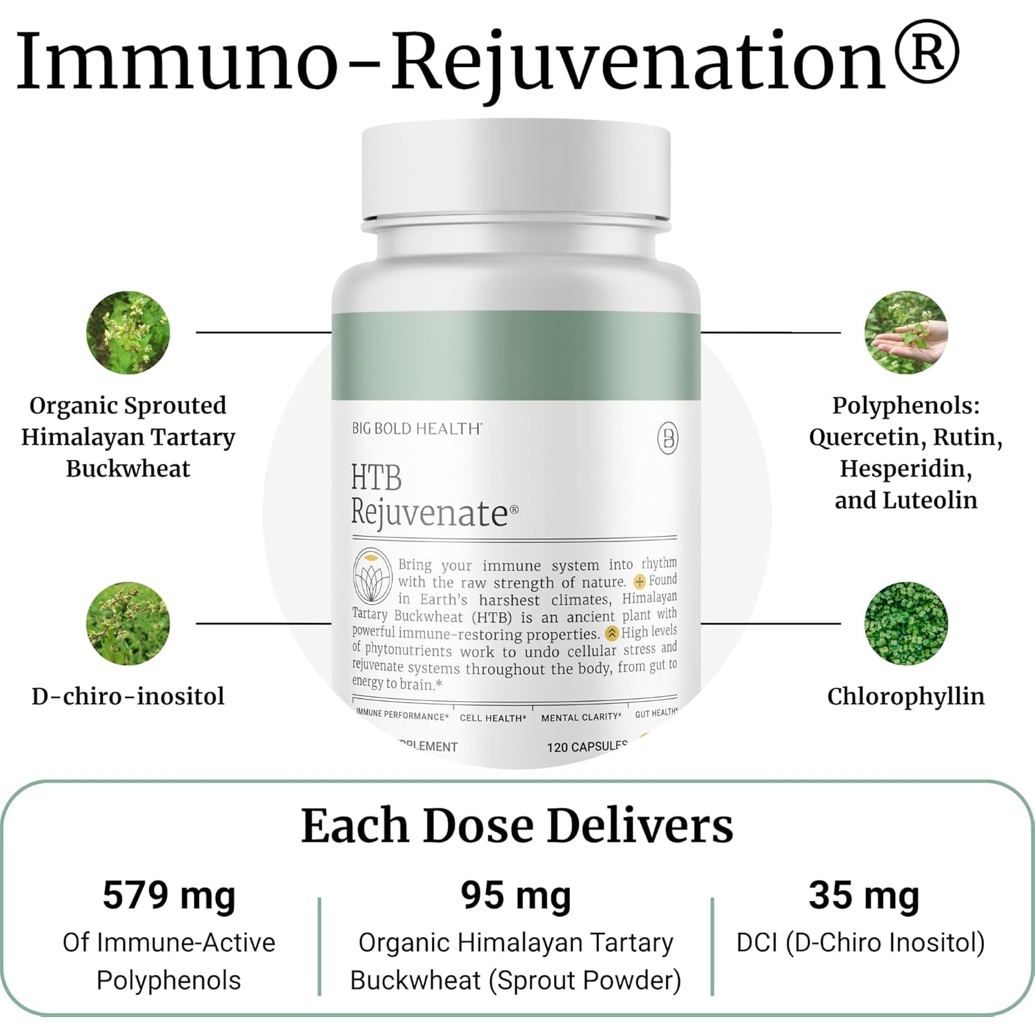 BIG BOLD HEALTH HTB Immune Rejuvenate - Himalayan Tartary Buckwheat - Polyphenols Supplement for Immune Support - Gluten Free, Dairy Free, Non-Gmo Formula - 120 Vegetarian Capsules (2 Month Supply)