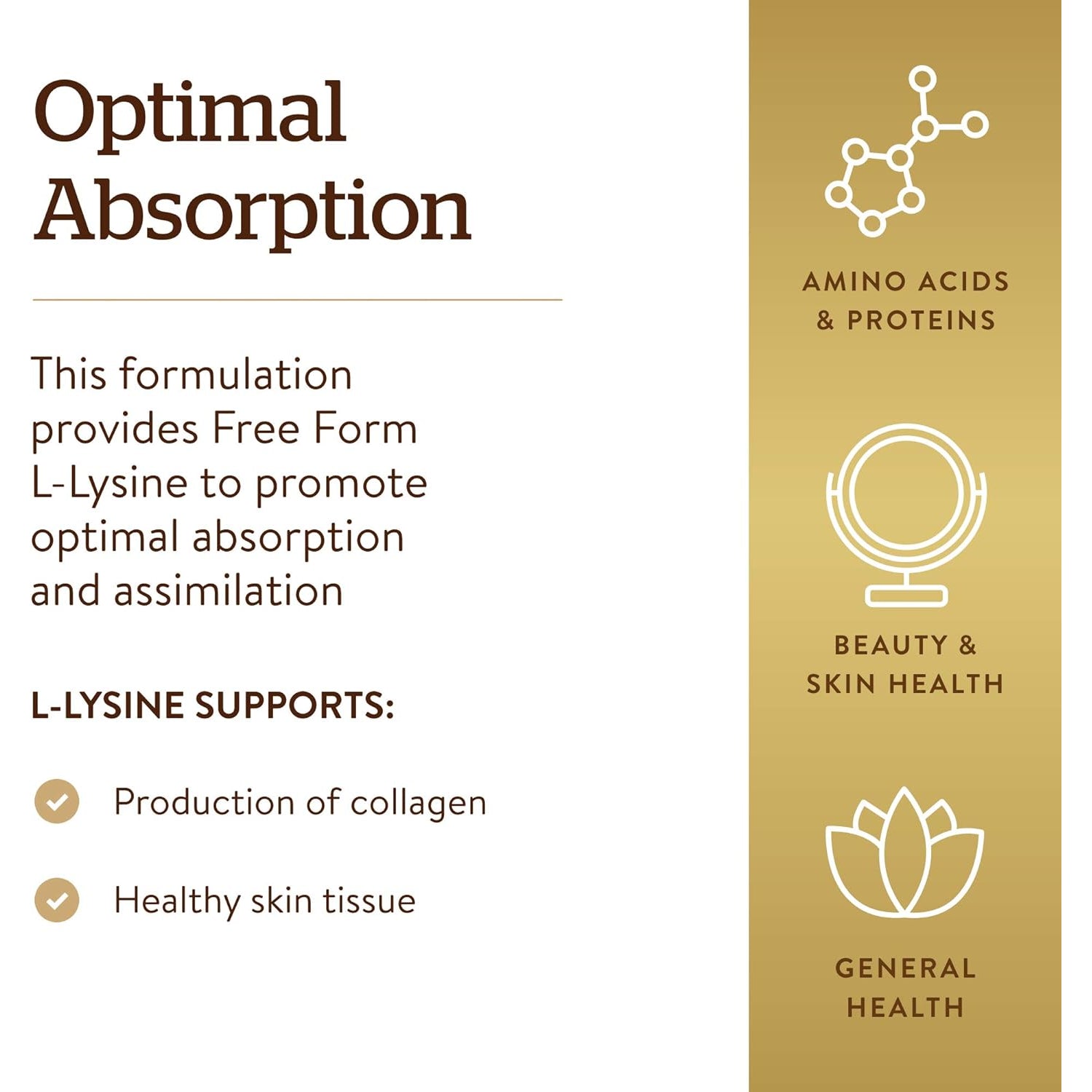 Solgar L-Lysine 1000 Mg, 250 Tablets - Enhanced Absorption and Assimilation - Promotes Integrity of Skin and Lips - Collagen Support - Amino Acids - Non-Gmo, Vegan, Gluten Free - 250 Servings