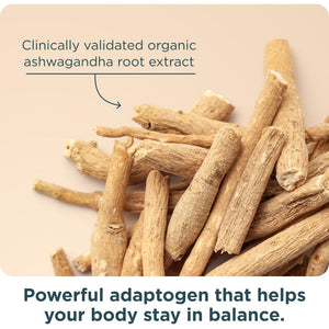 Ancient Nutrition Women’S 50+ Multivitamin with Ashwagandha – Menopause Support for Hot Flashes, Sleep, Mood, Energy & Hormonal Balance – 21 Vitamins & Minerals – 30 Servings